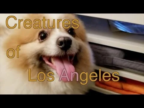 Creatures of Los Angeles: Episode 79