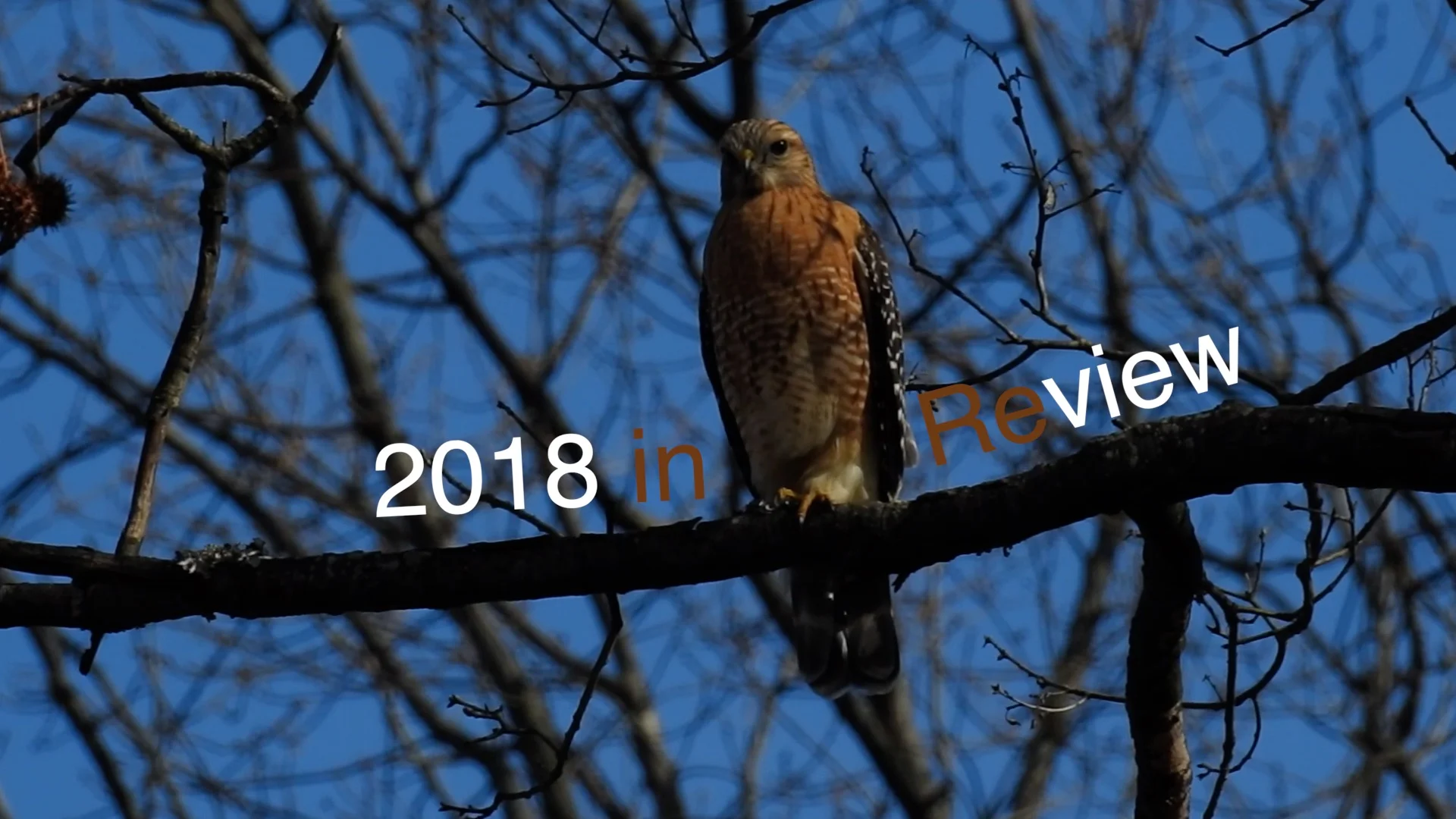 Looking Back at 2018: Episode 83