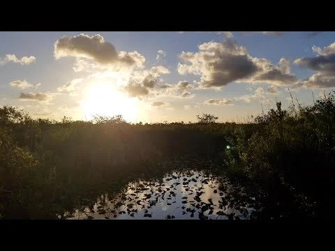 National Parks in the History of Science: Island Biogeography