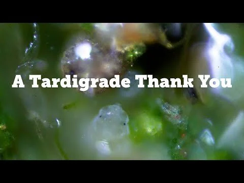 A Tardigrade Thank You (2021 Eco Comedy Film Award Winner)