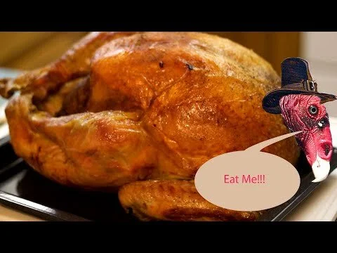 A Tasty Turkey Vulture Thanksgiving