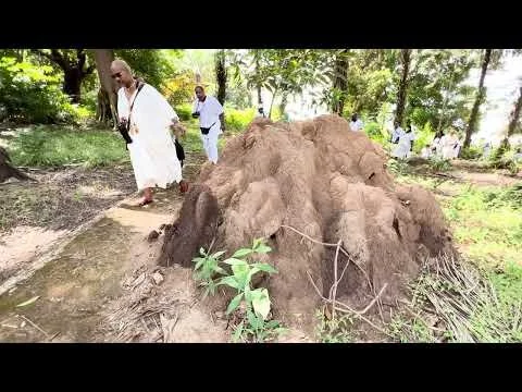 Sierra Leone Reunion