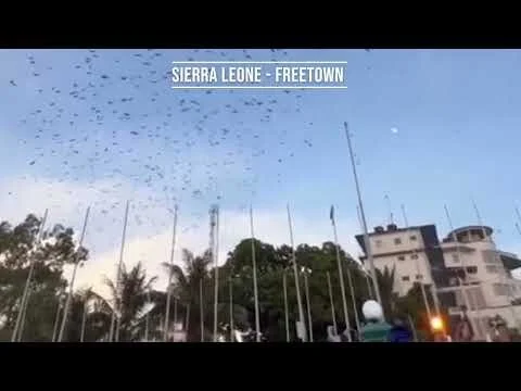 Bay Appreciation Day 2023