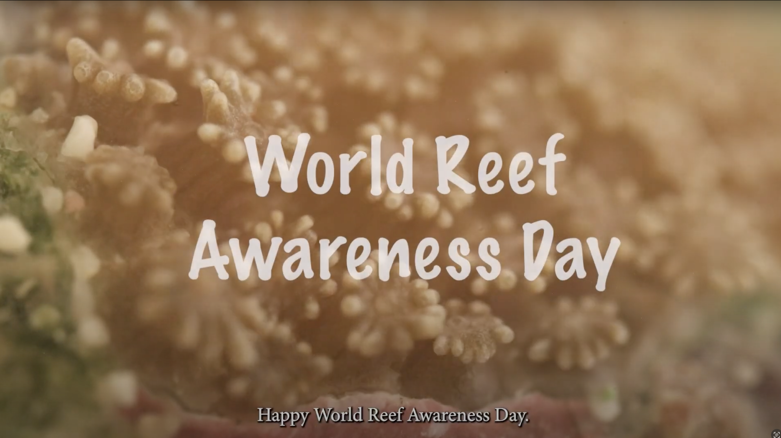 World Reef Awareness Day - Barbados Edition