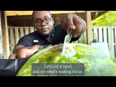 Bubbling fizzing watermelon under microscope