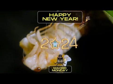 Happy 2024 - Brood X Cicada Edition