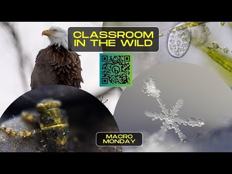 Classroom in the Wild (2023)