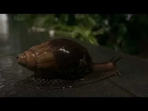 NEWF 2025 Recap & Timelapse