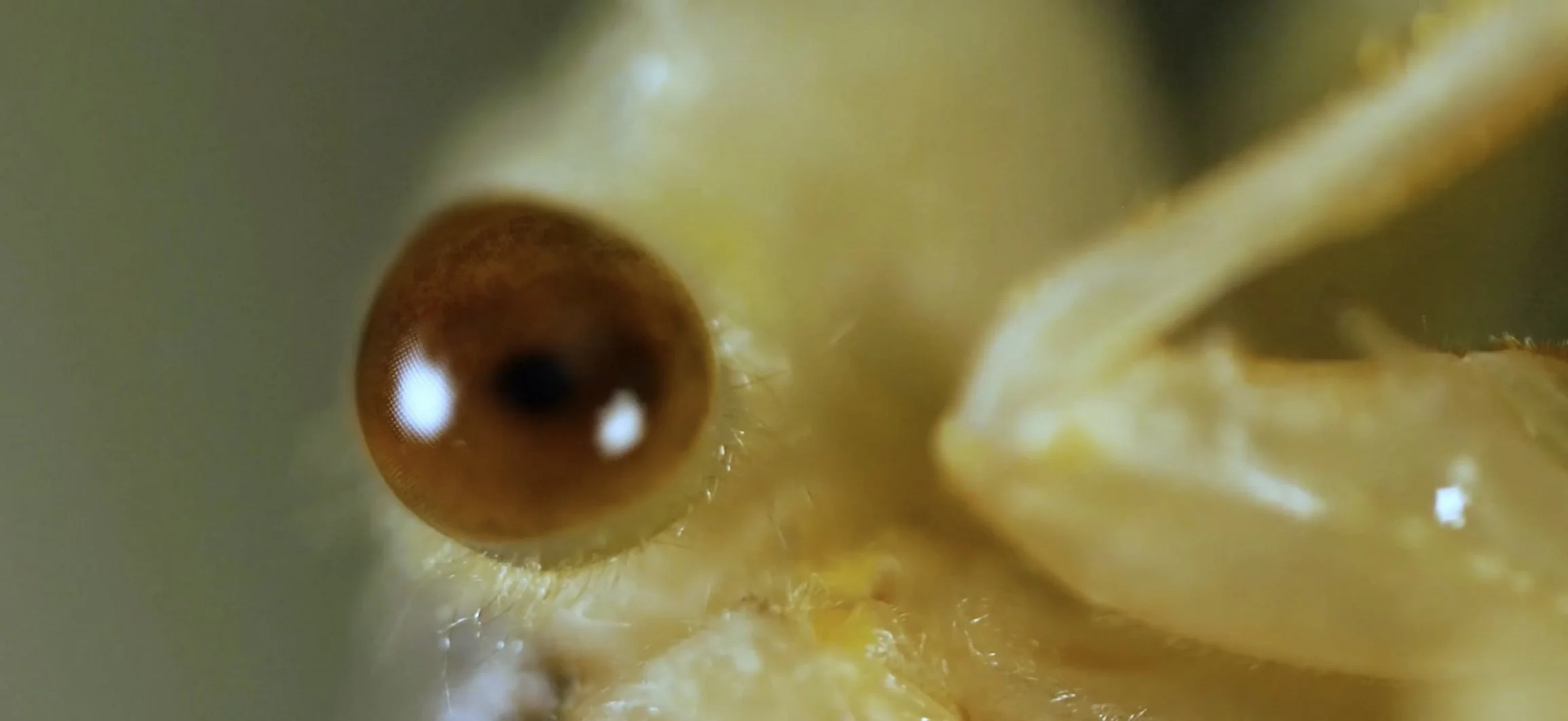 Robert Boyd | Demo Reel | 2025