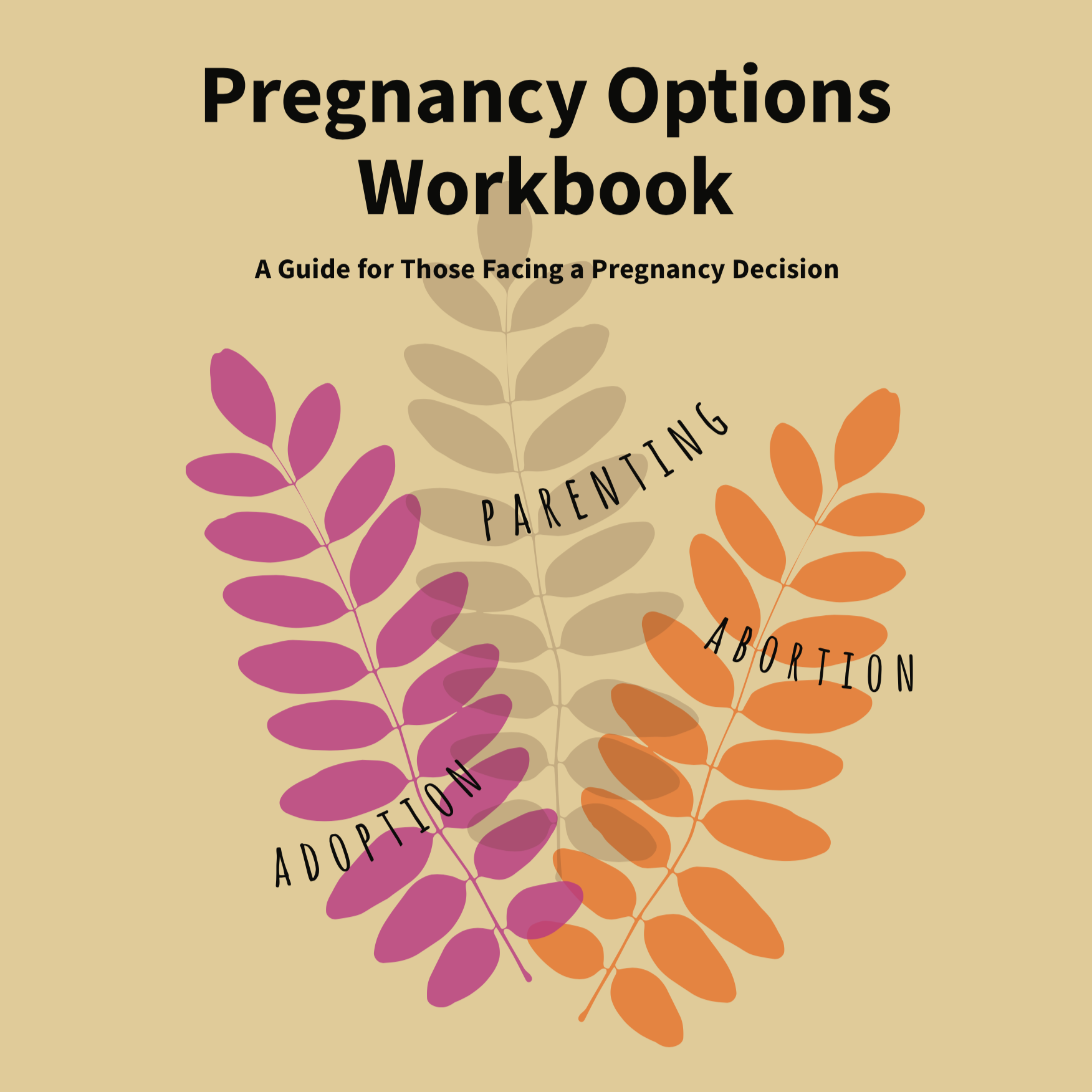 Pregnancy Options Workbook