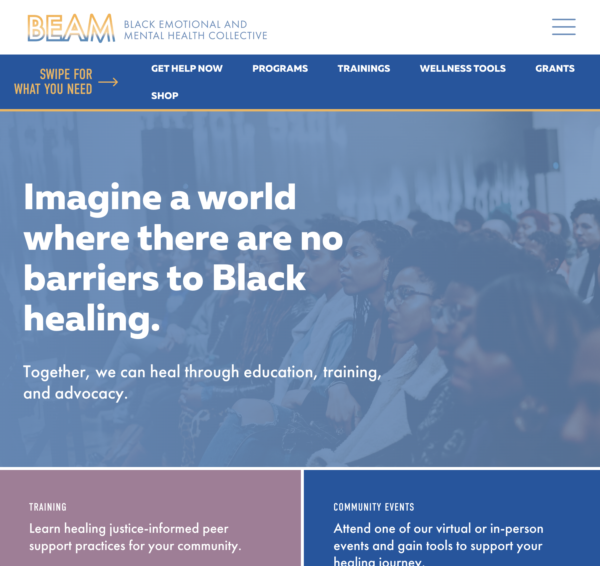 Black Emotional and Mental Health Collective