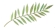 Fern.jpg