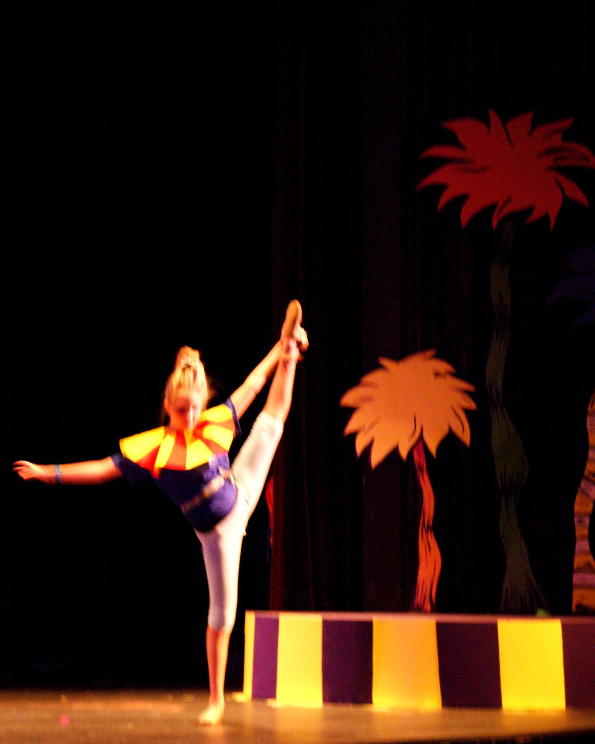 DSC03534e.jpg
