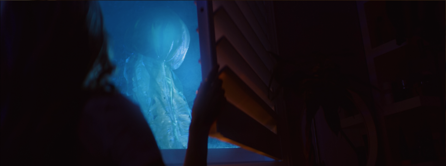 Screen+Shot+2019-09-05+at+3.05.31+PM.png