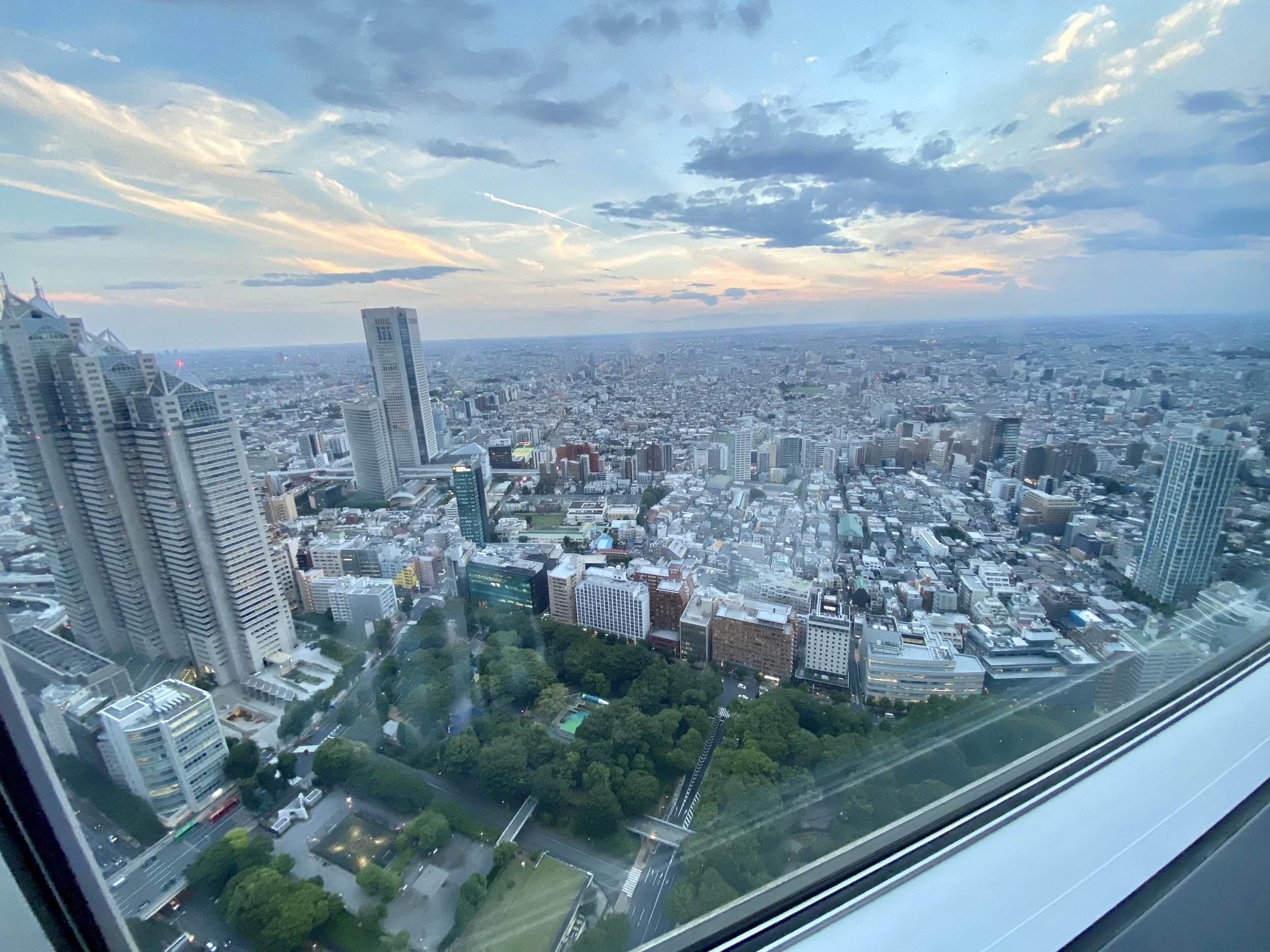 Tokyo from Above 1.jpg