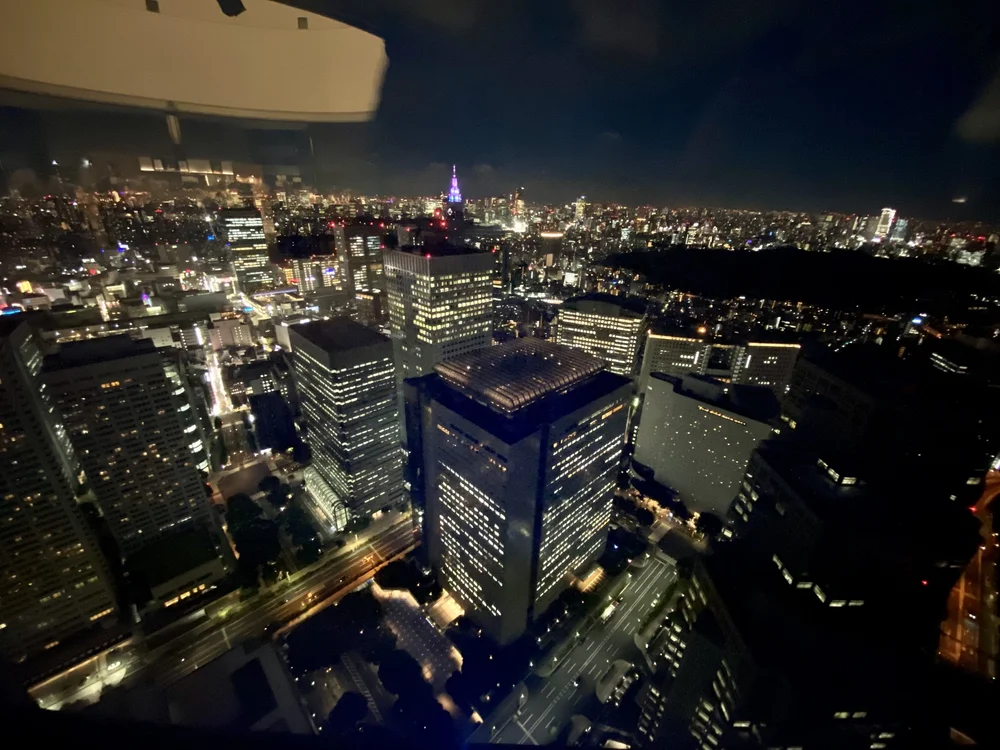 Tokyo from Above at Night.jpg