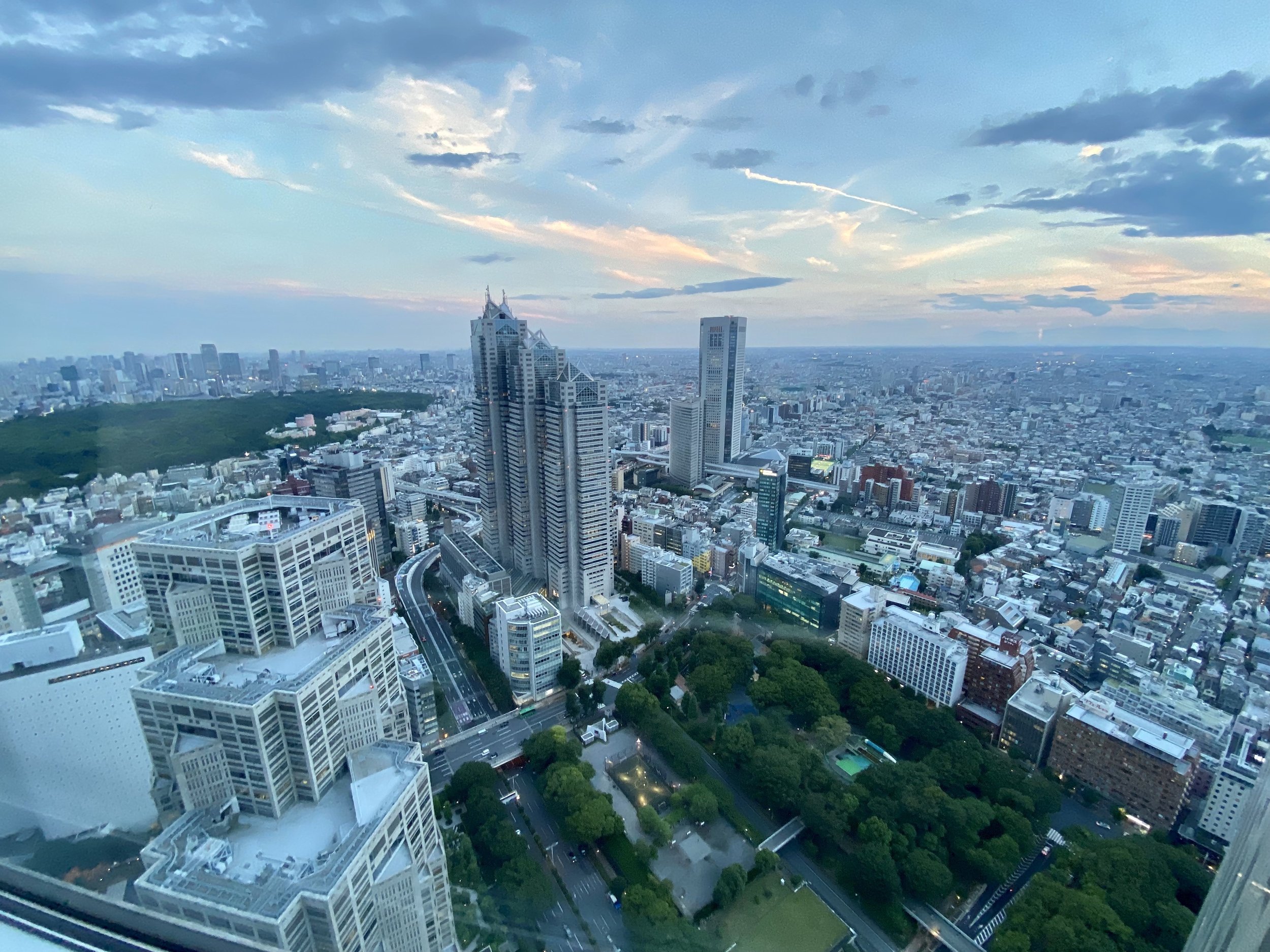 Tokyo from Above 2.jpg