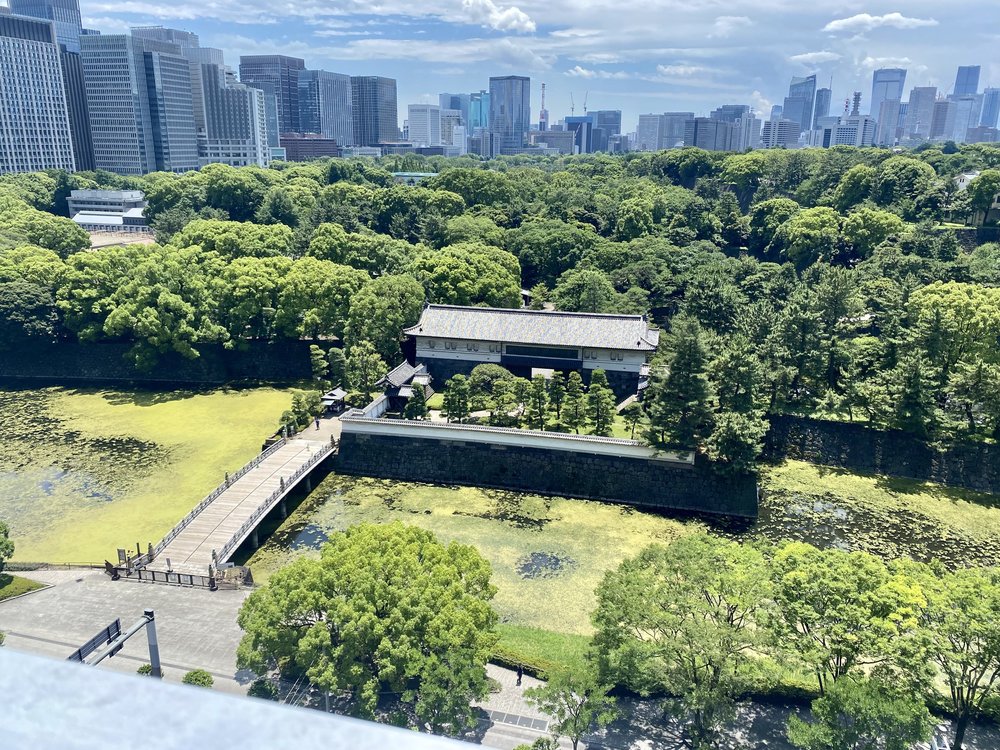 Imperial Palace Gardens and Tokyo from Above