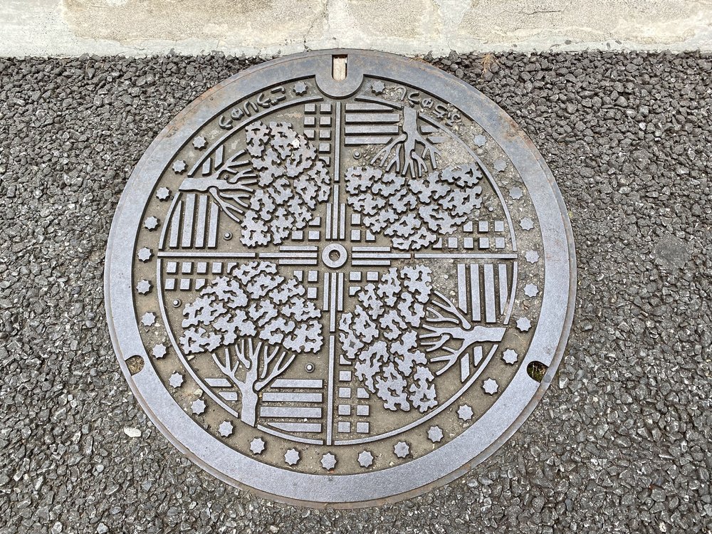 Manhole Cover with Cherry Blossoms