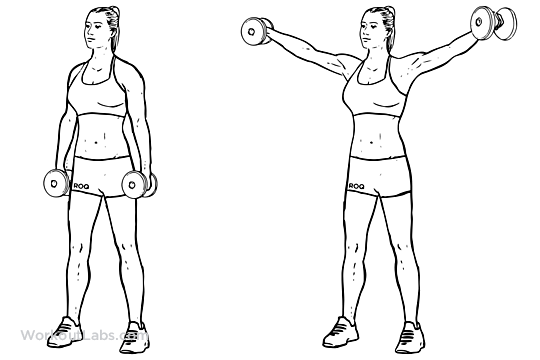 Dumbbell_Lateral_Raise_Power-Partials1.png