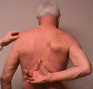 Shoulder internal rotation