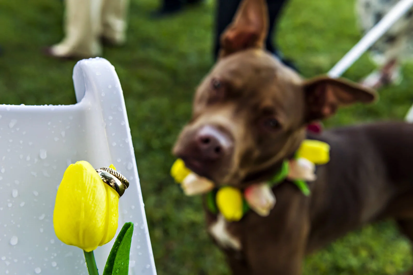 014_BROOKE_170617_1.jpg