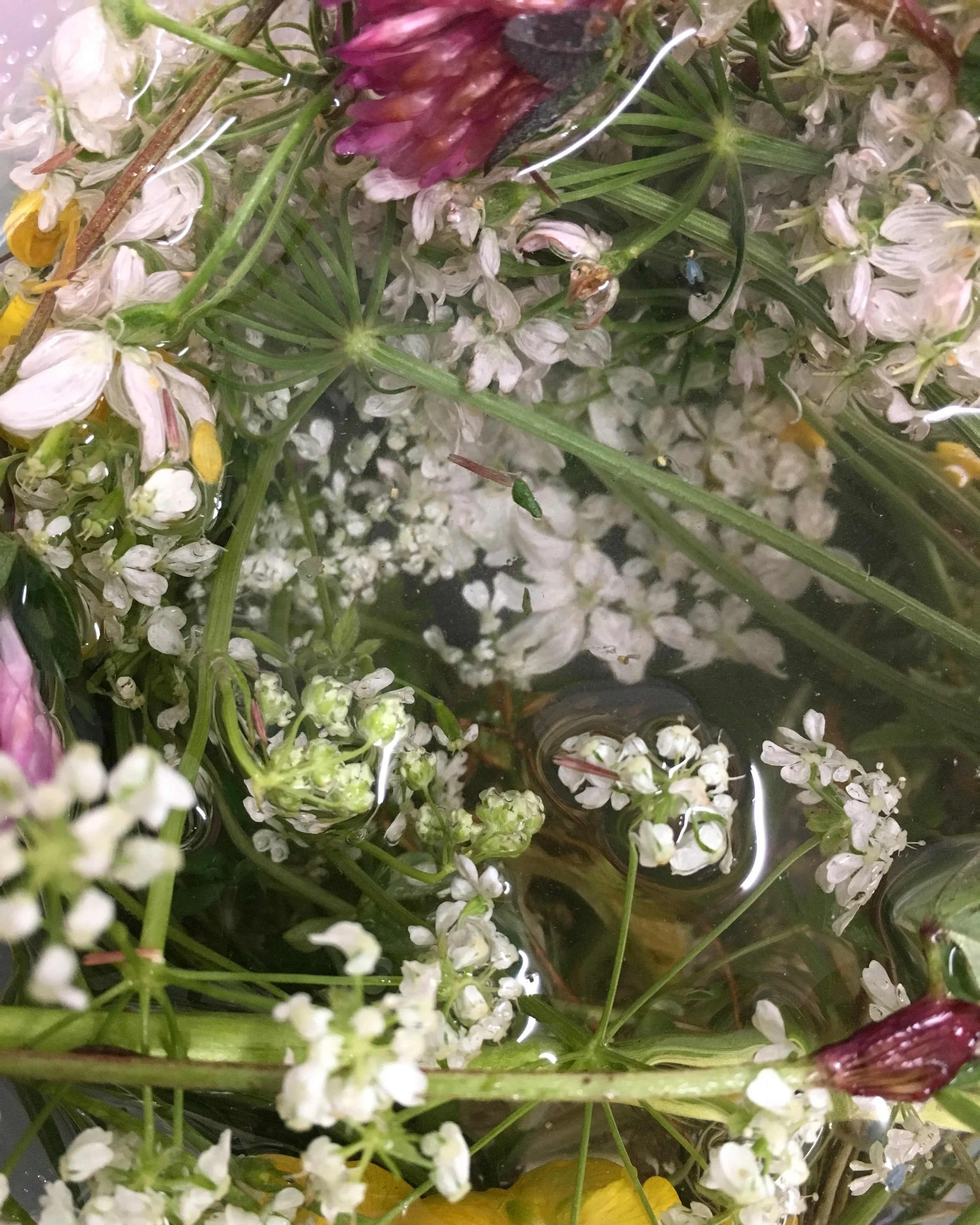 Nature Morte Submissions Open