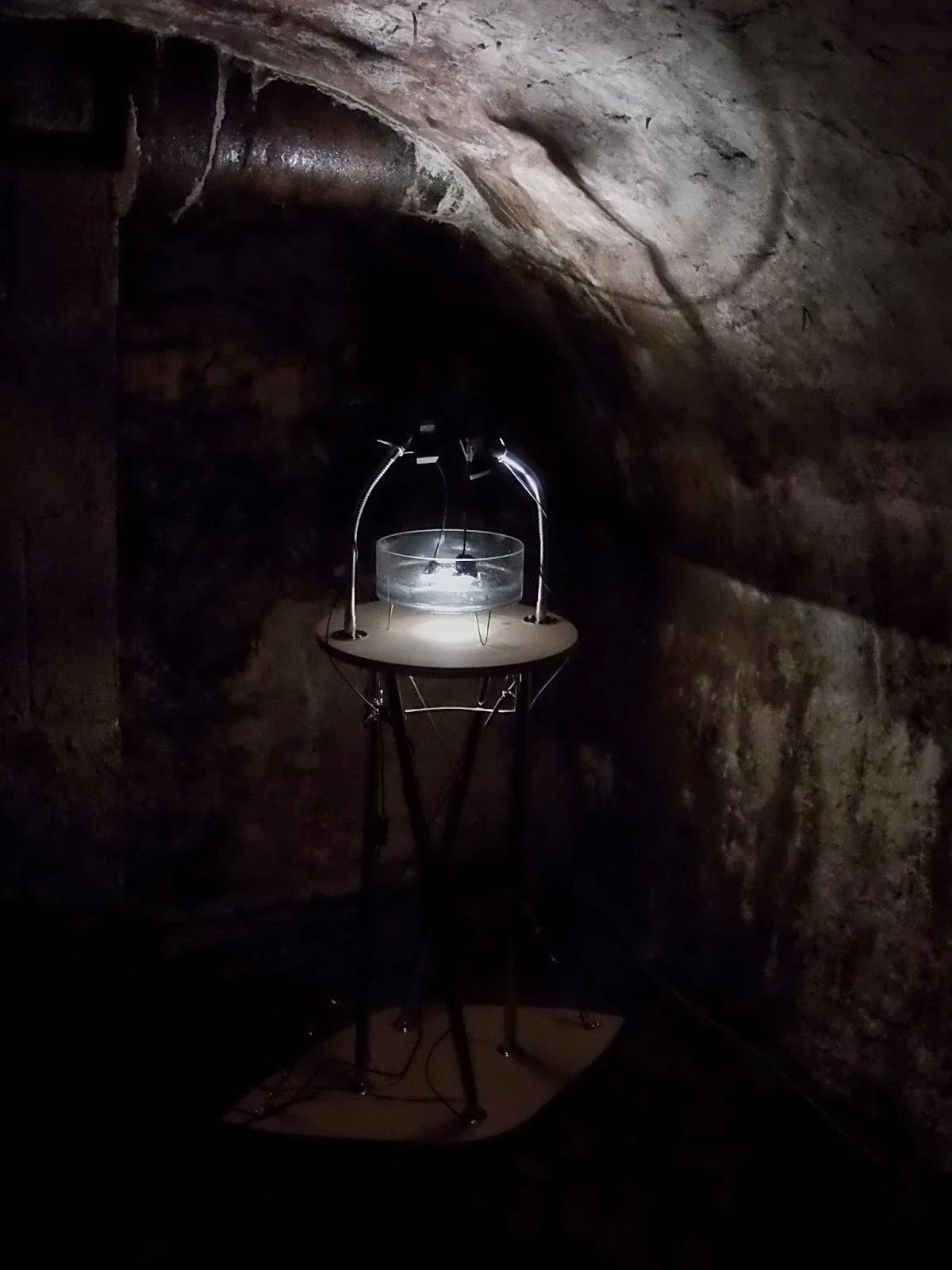 Curators thoughts about FaB - Lee Riley