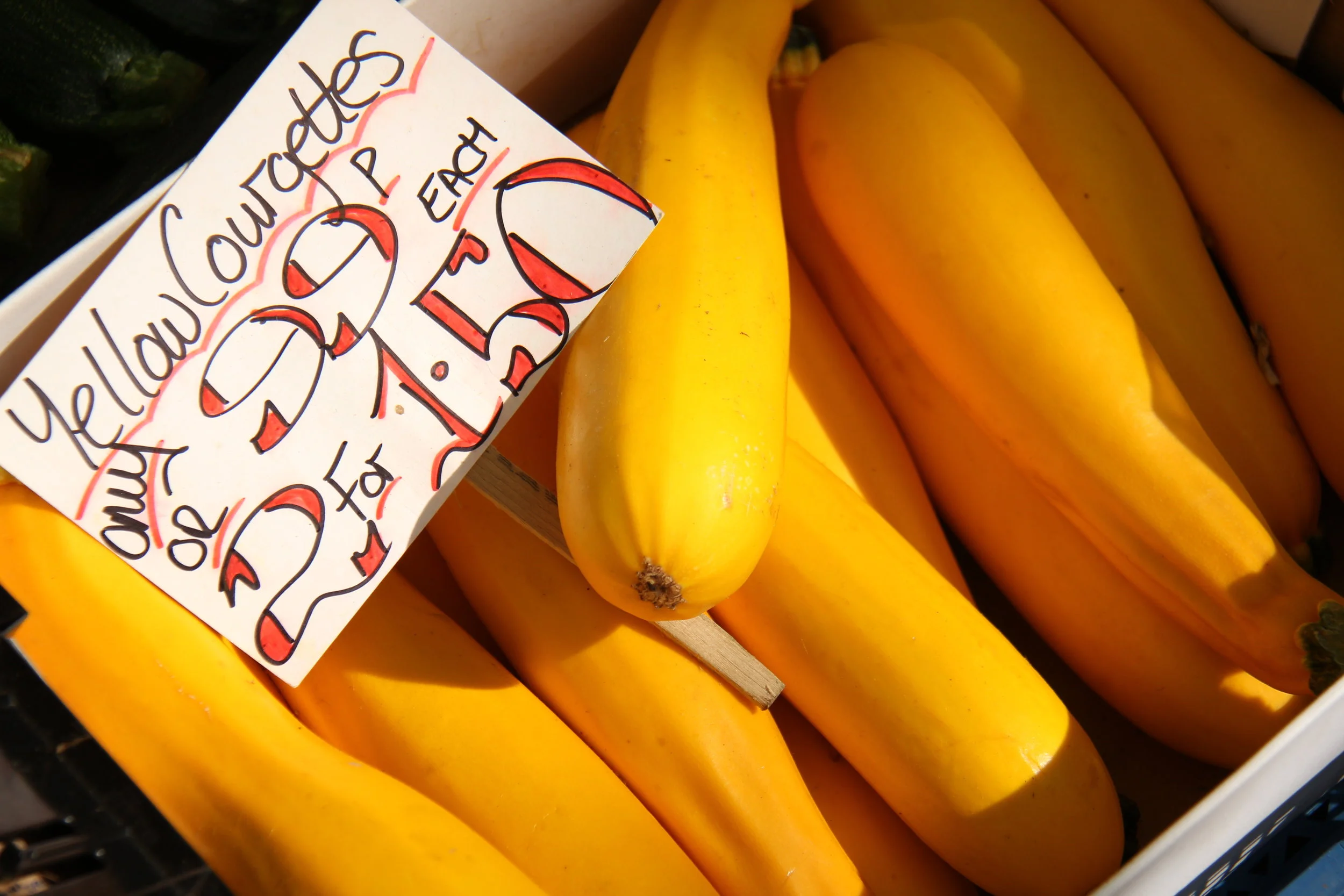 What a day! The 2019 FaB Photomarathon