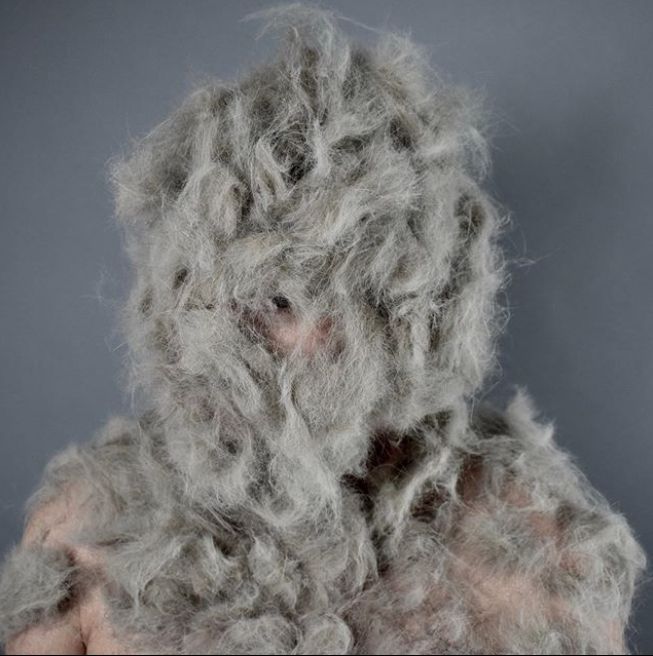 Image © Svetlana Ochkovskaya, The Hybrid C