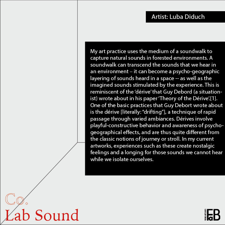 Co.Lab Sound Presents_ Luba Diduch .jpg