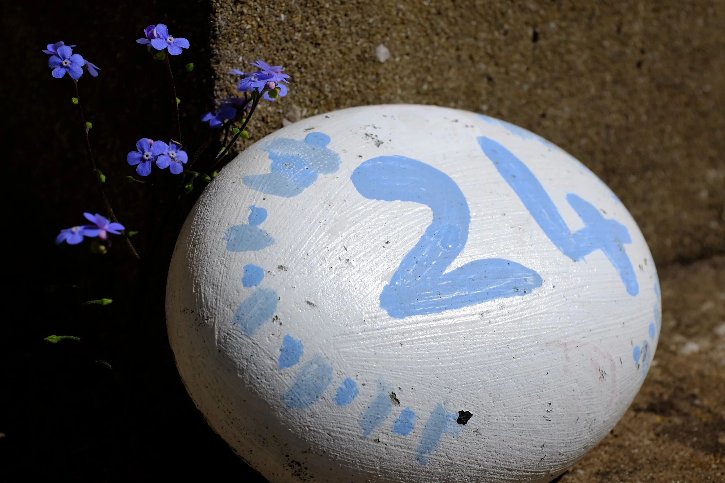 Gerry Markopoulos.JPG