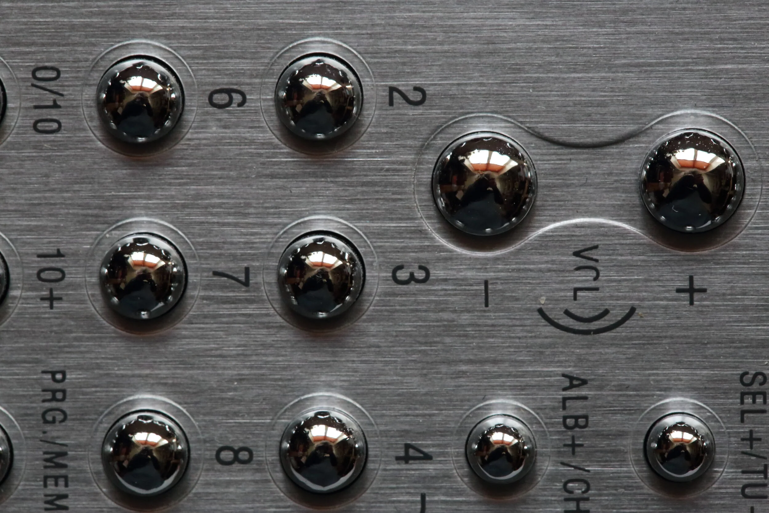 Robert Zimmerman.JPG