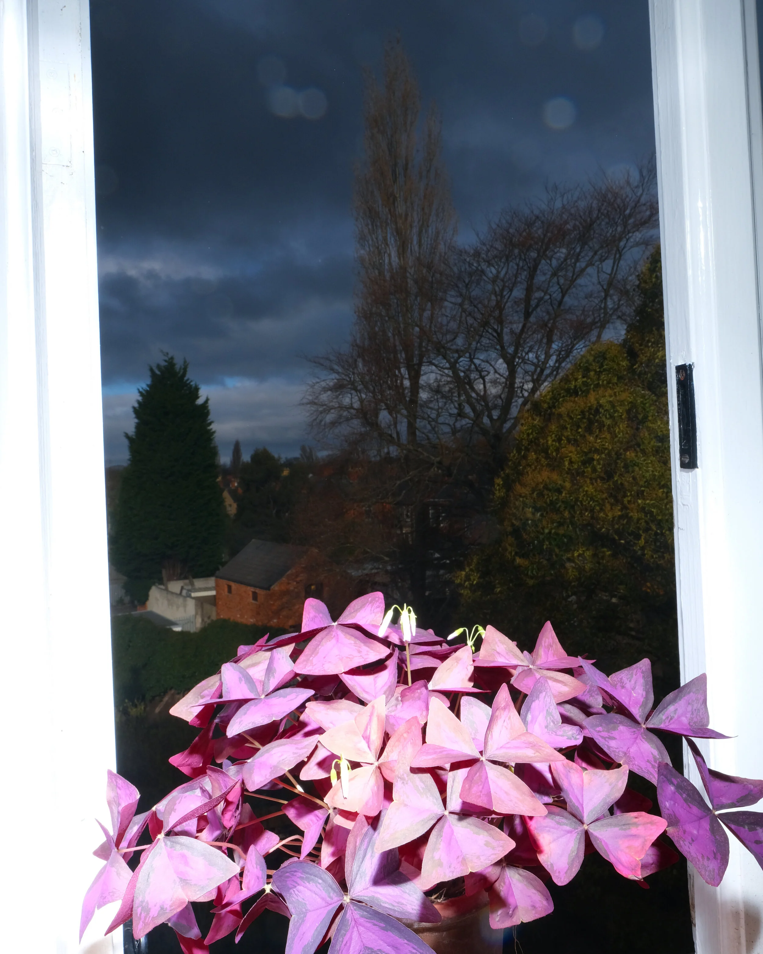 Bobby Beasley  (1).JPG