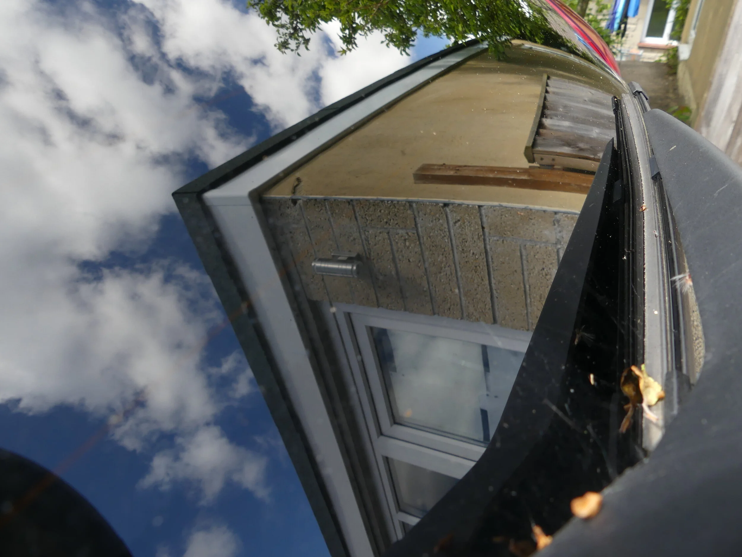 Carole Anne Tonge.JPG