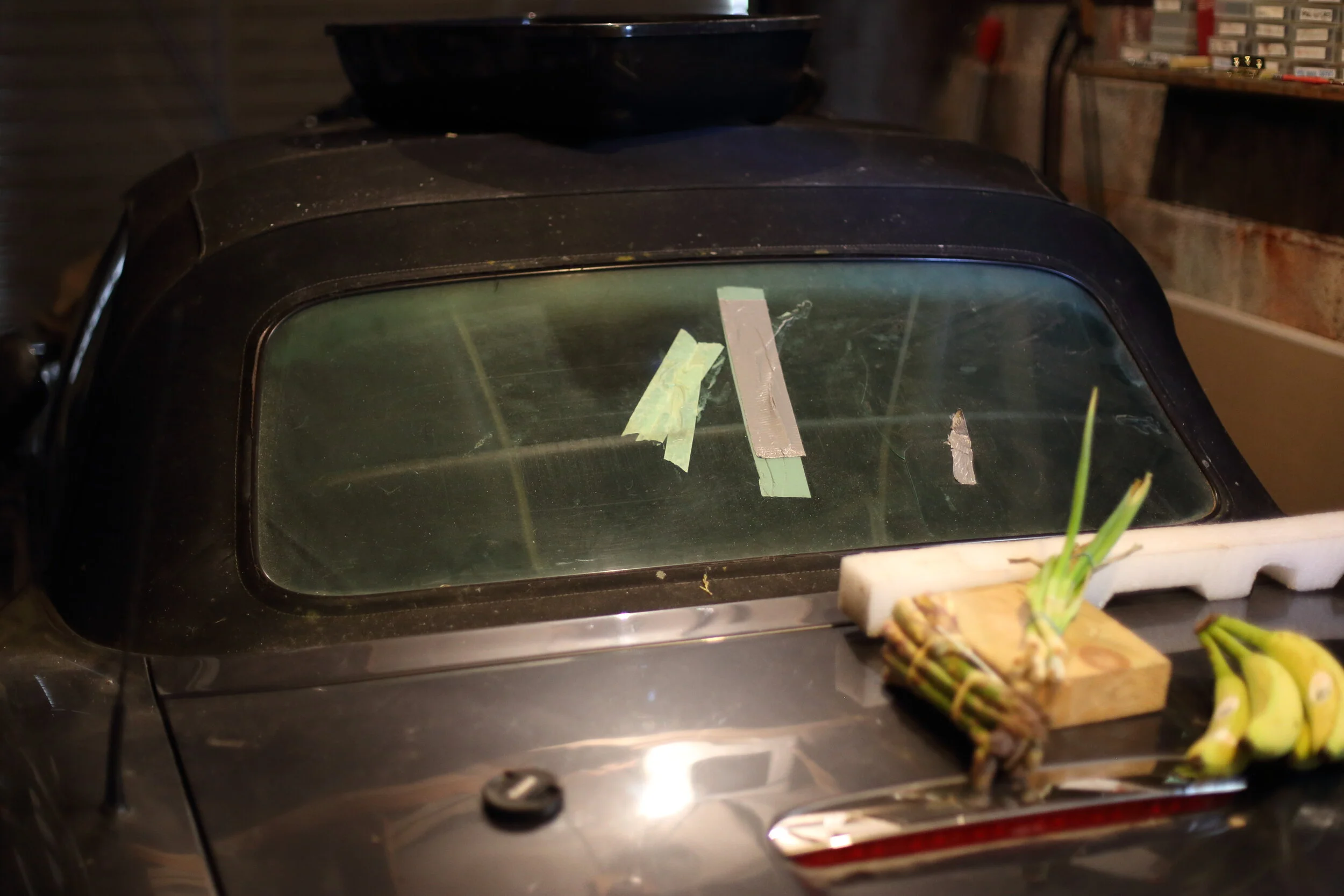 Robert Zimmerman.JPG