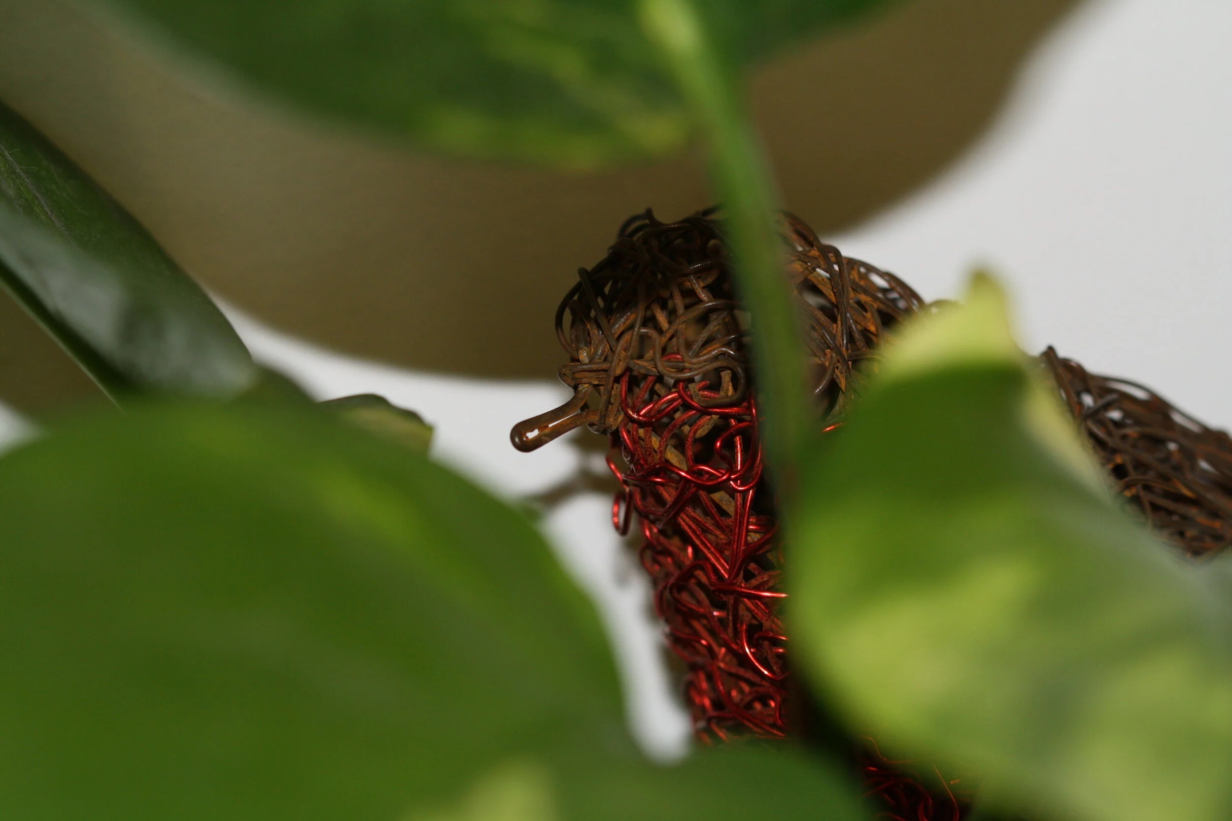 Rob and Aileen Oldfield.JPG