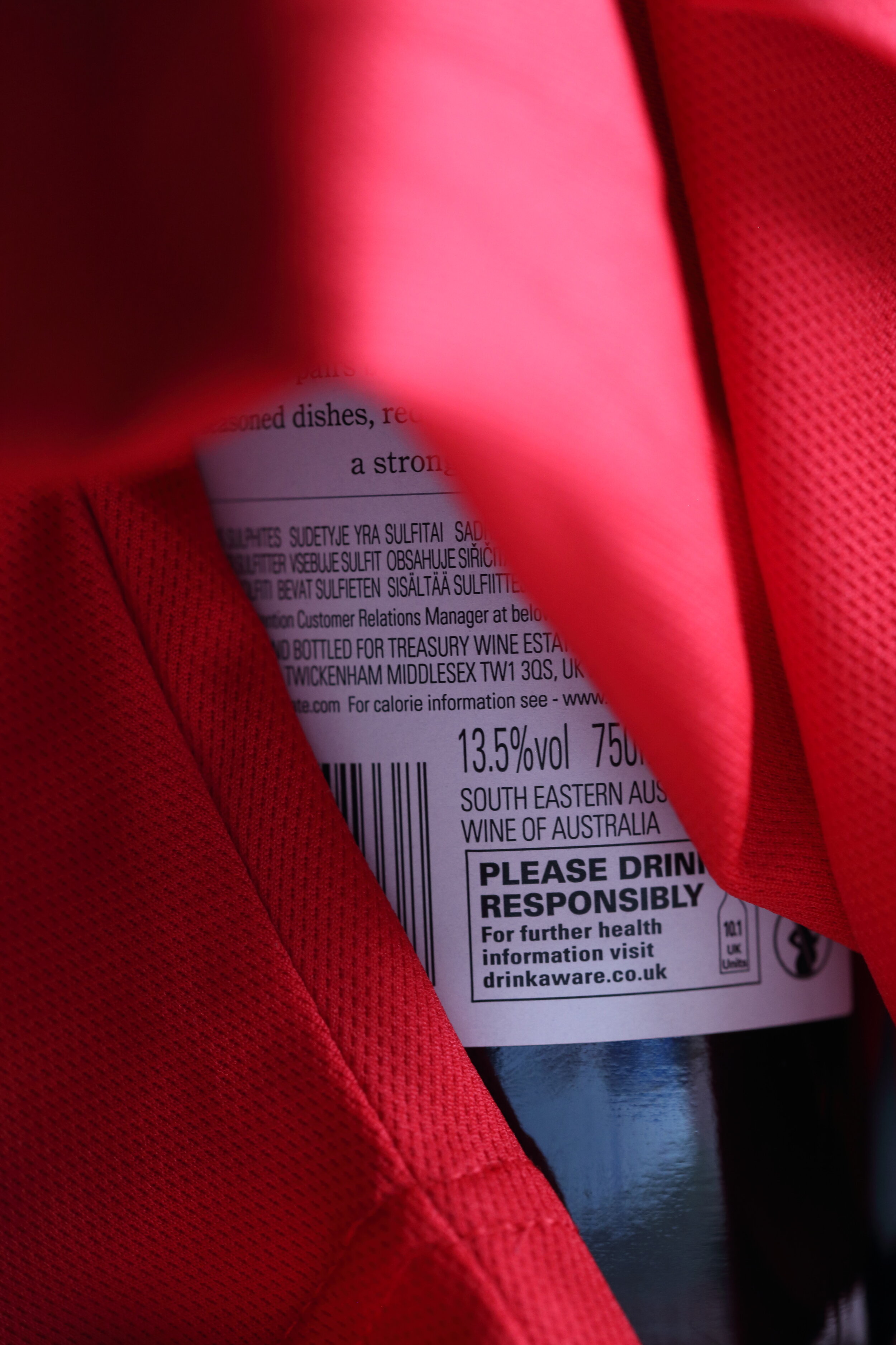 Robert Zimmerman.JPG