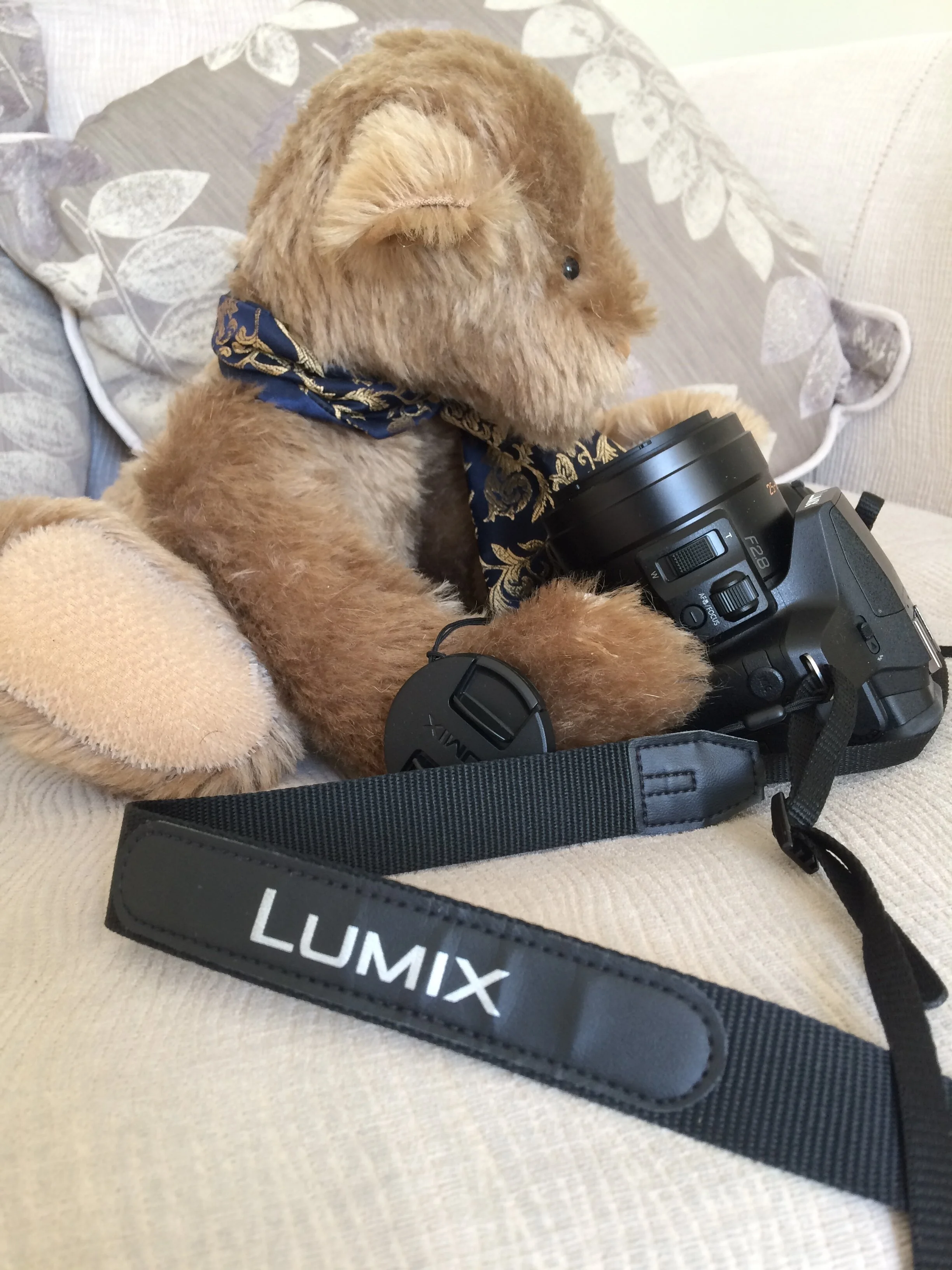 Carole Anne Tonge.JPG