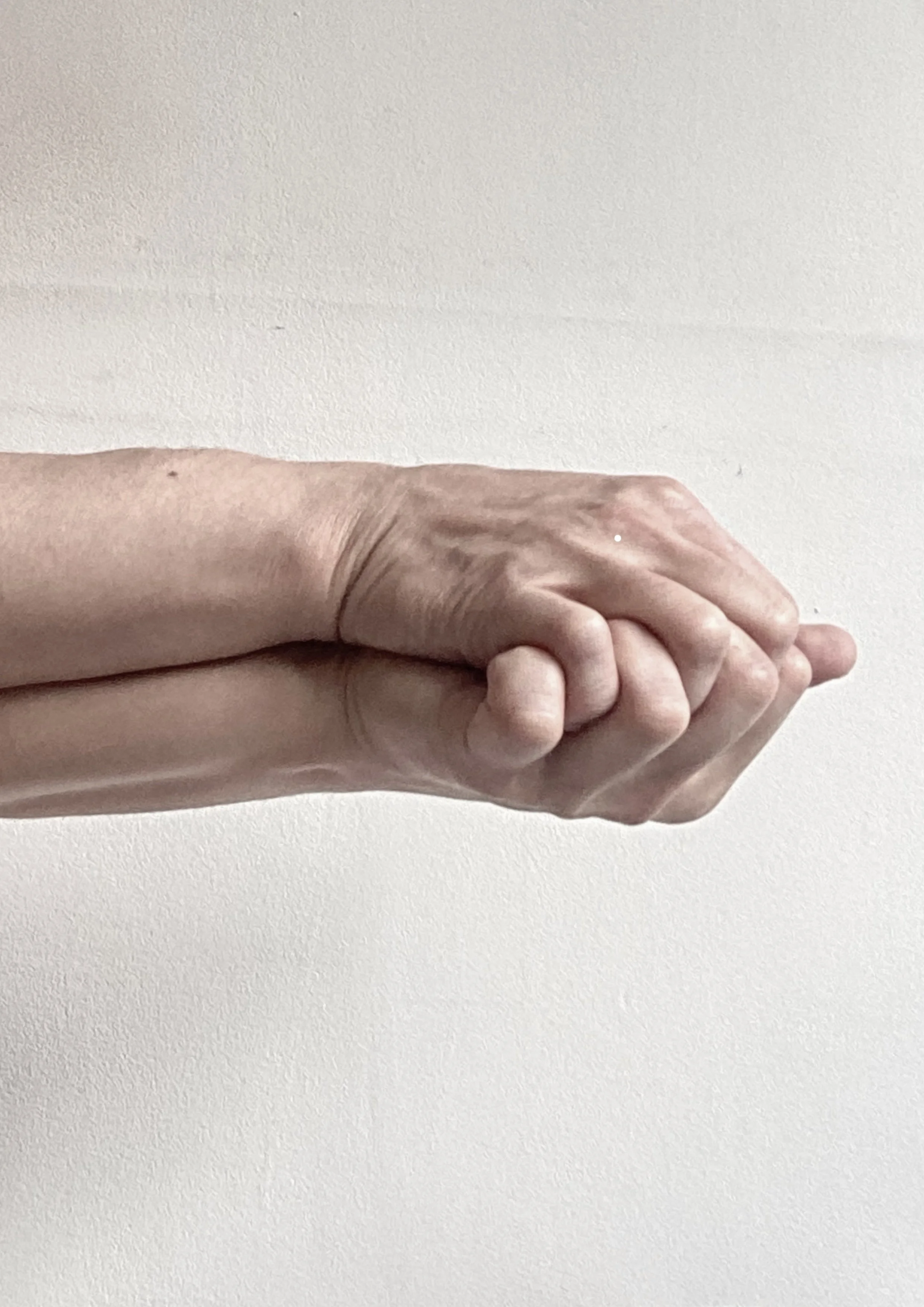 Inheritance (study of Shell) - Kelvin Atmadibrata