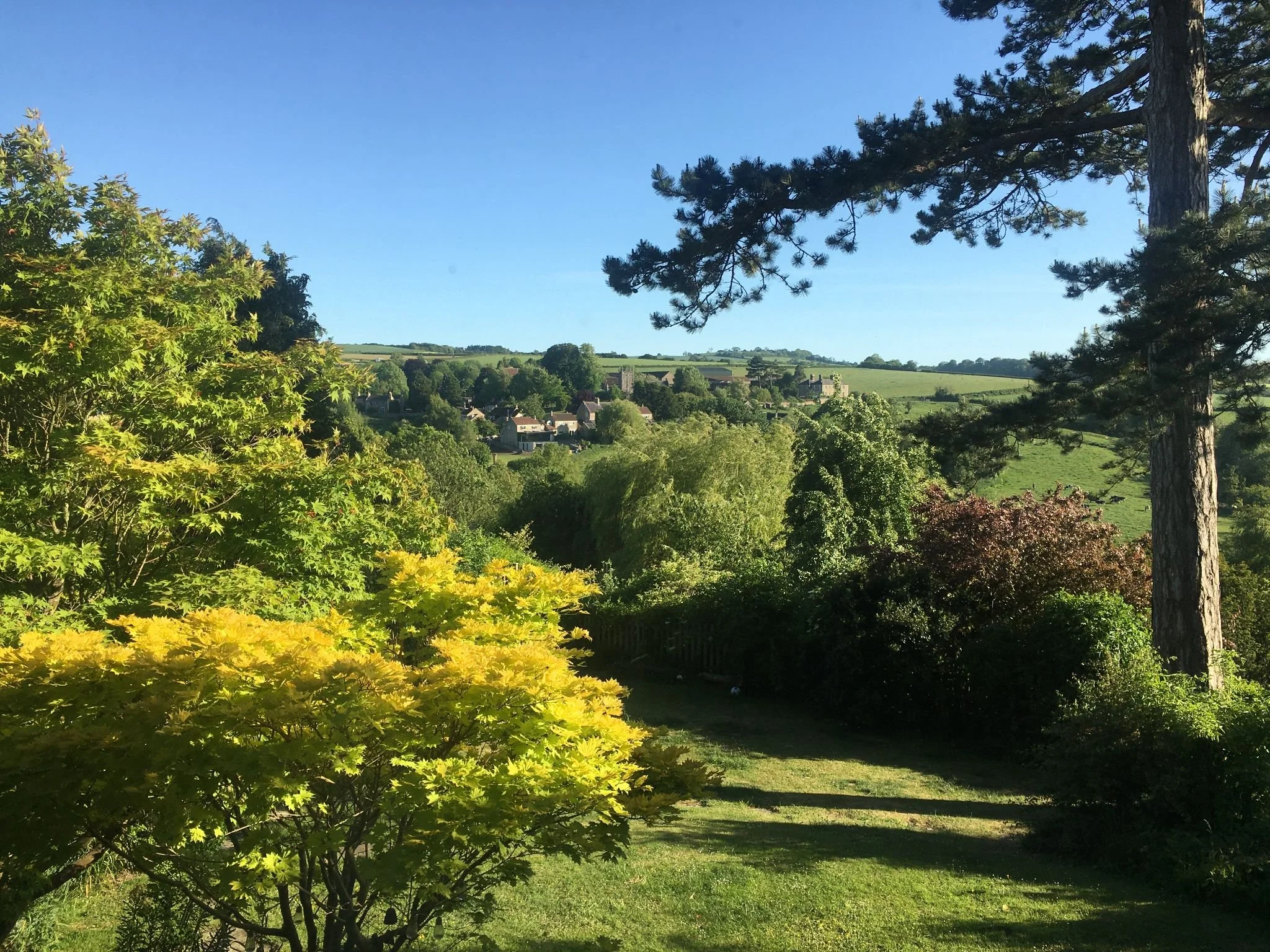 Shades of Green - Englishcombe view with King Arthur - image Sandra Higgins.JPG