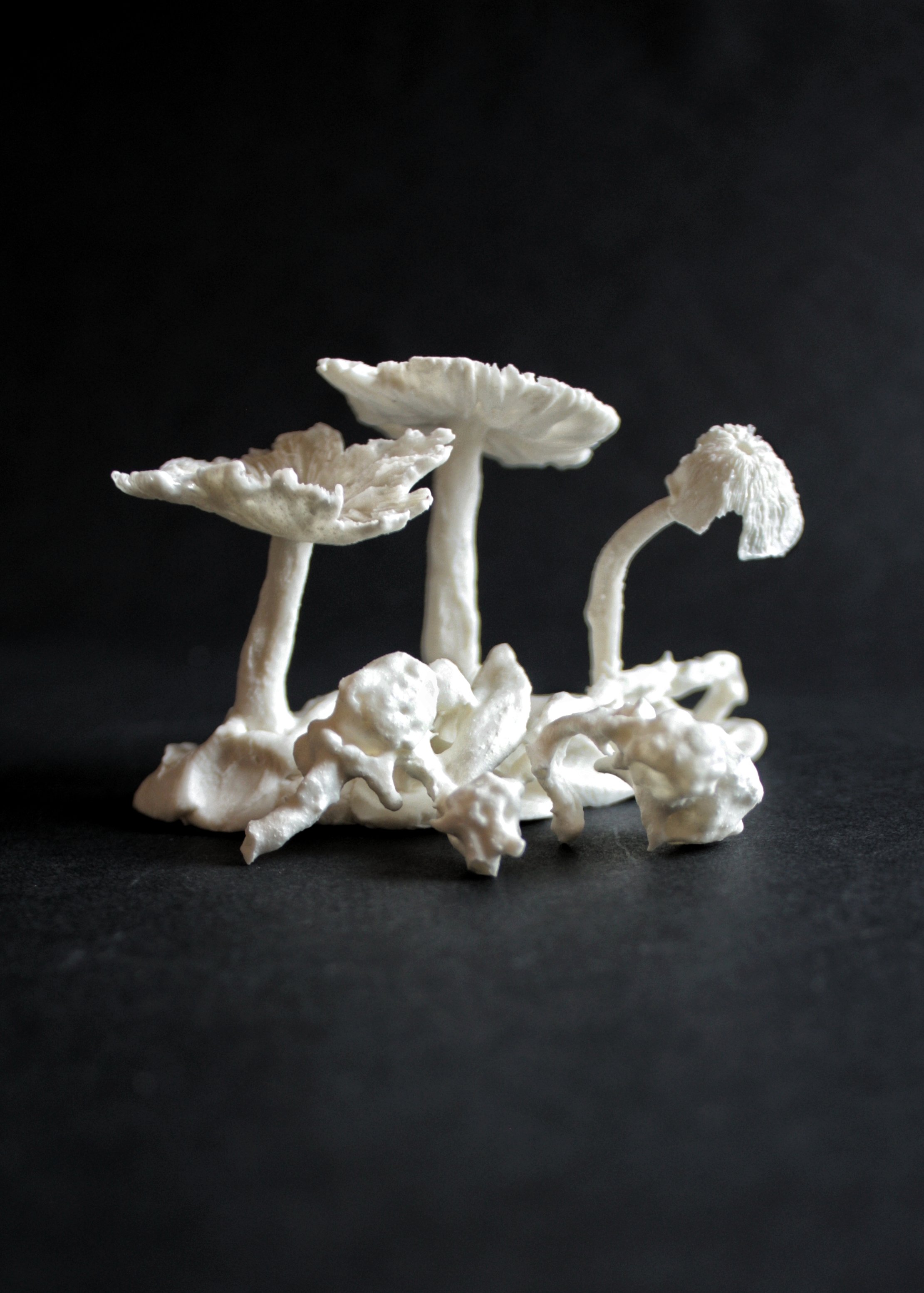 Sarah-May Rogers.jpeg