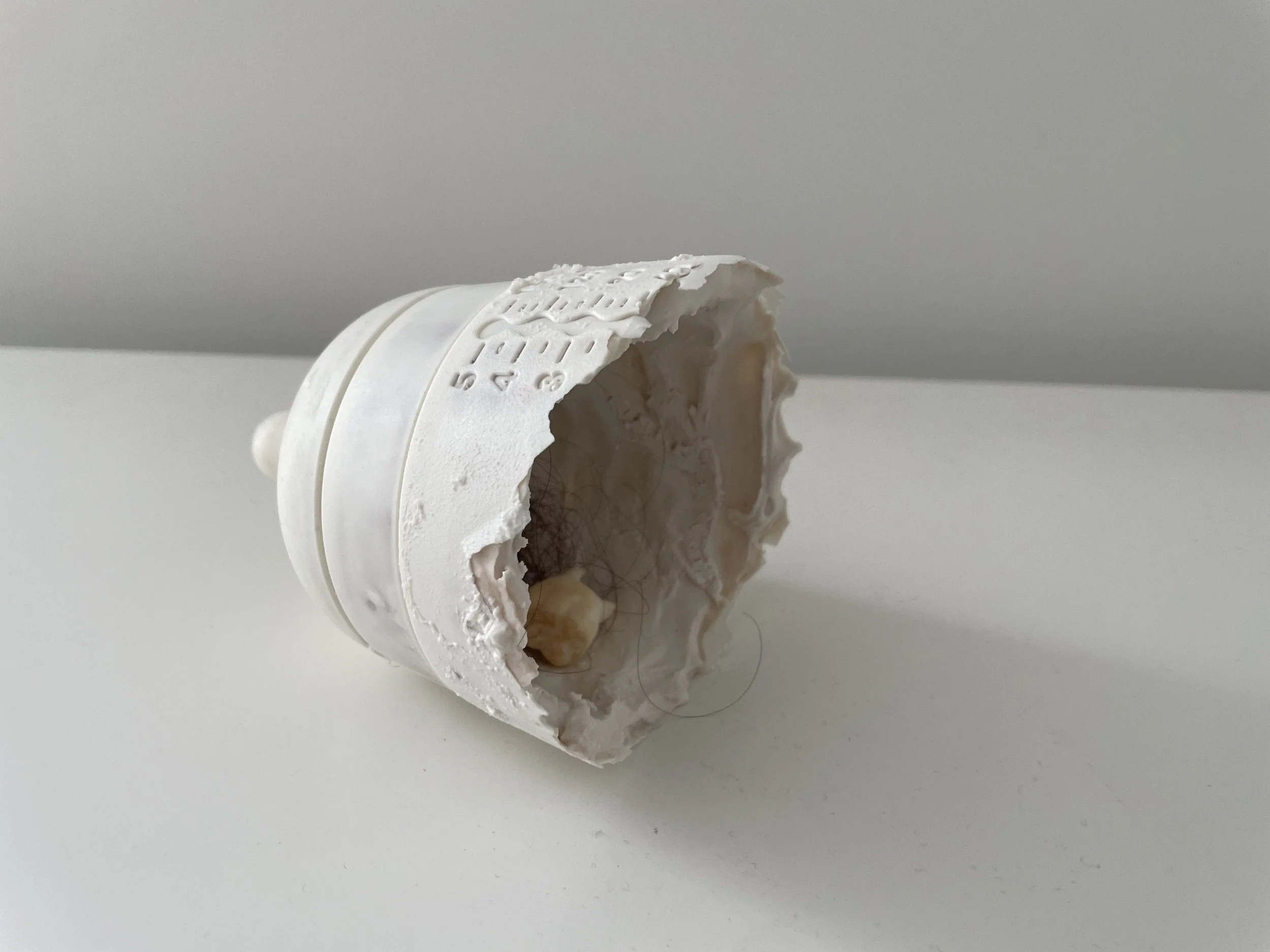 2024 - Penny Taylor - Now and Then curated by Vicky Vatcher.jpeg