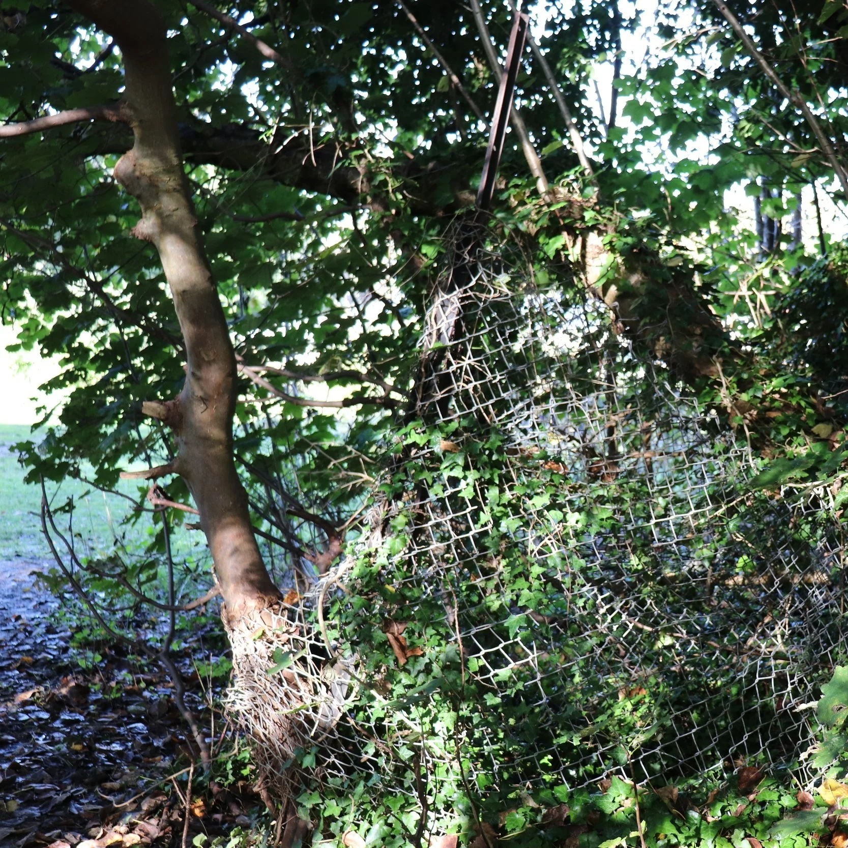 Making Textiles from foraged resources