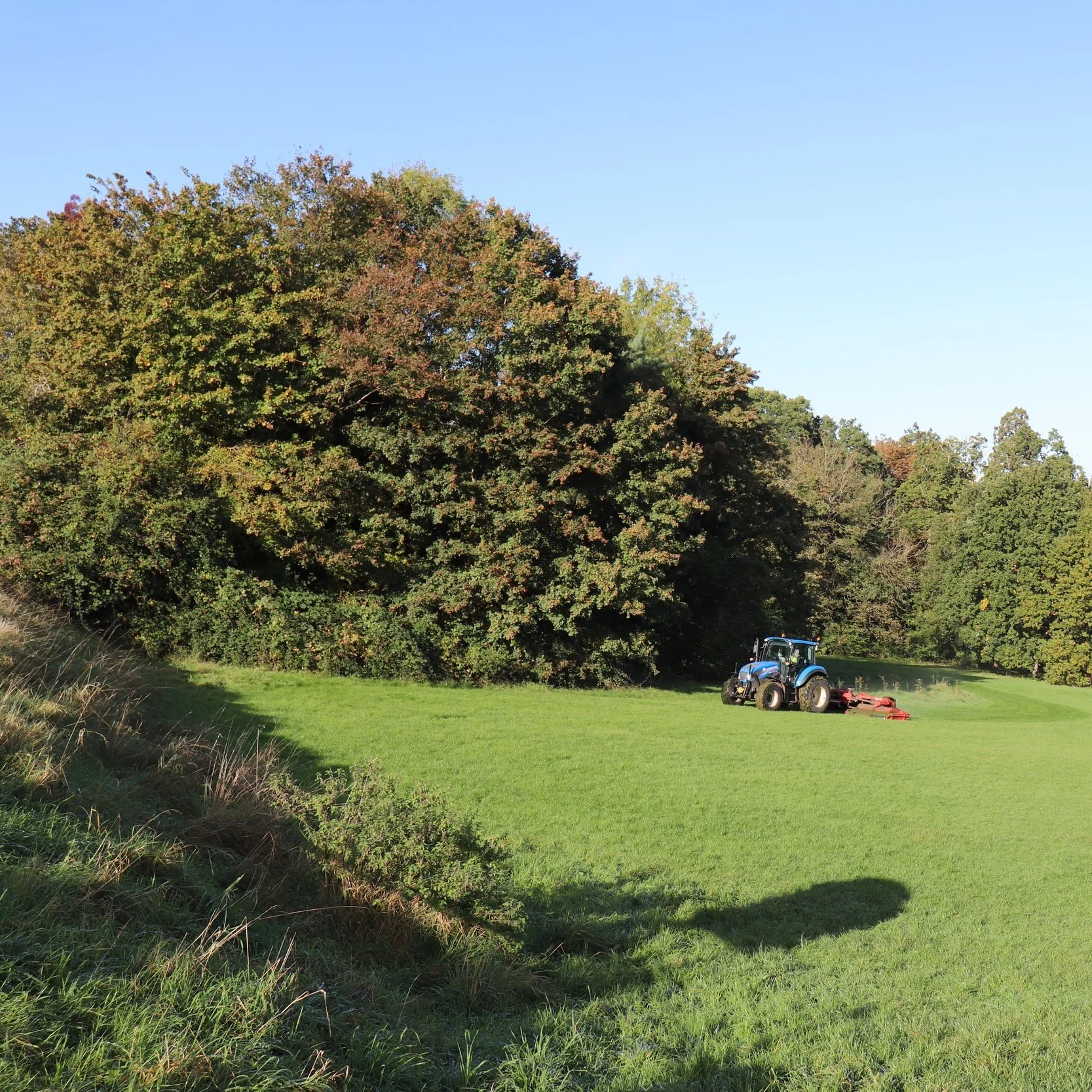 Guided Walk - Green Spaces in BA2