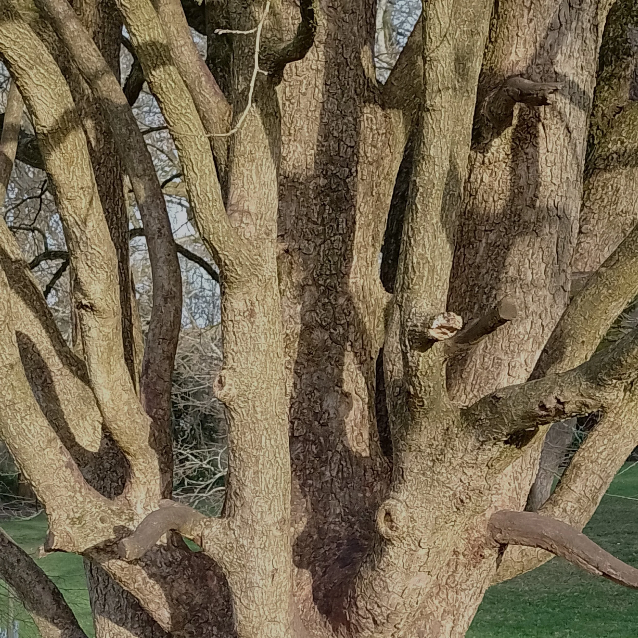 Self Guided Walk -  Photography Inspiration Moorlands Park and surrounding area