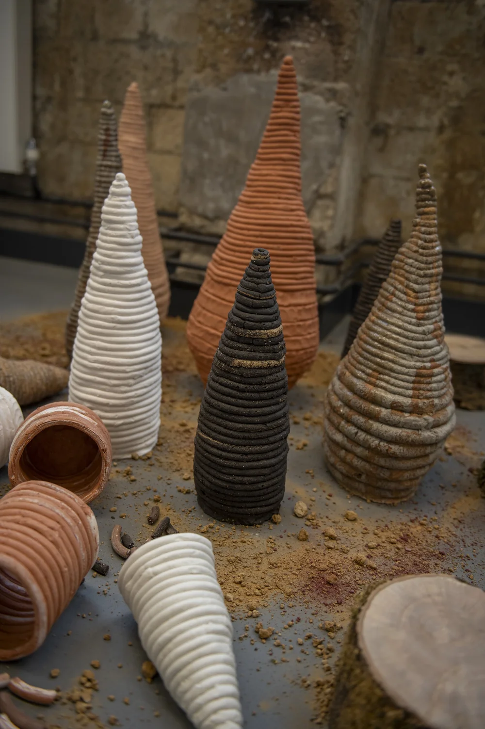 Rachel Demuth, What will replace the ash trees? Part of Wilderness Commons curated by Nia Aroyo (Copy)