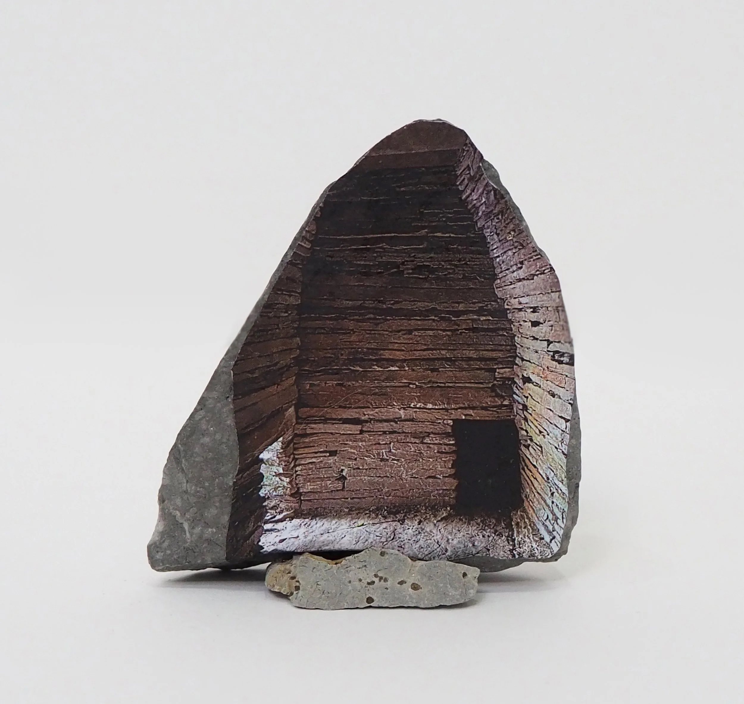 Isabel Young, 5000 Years