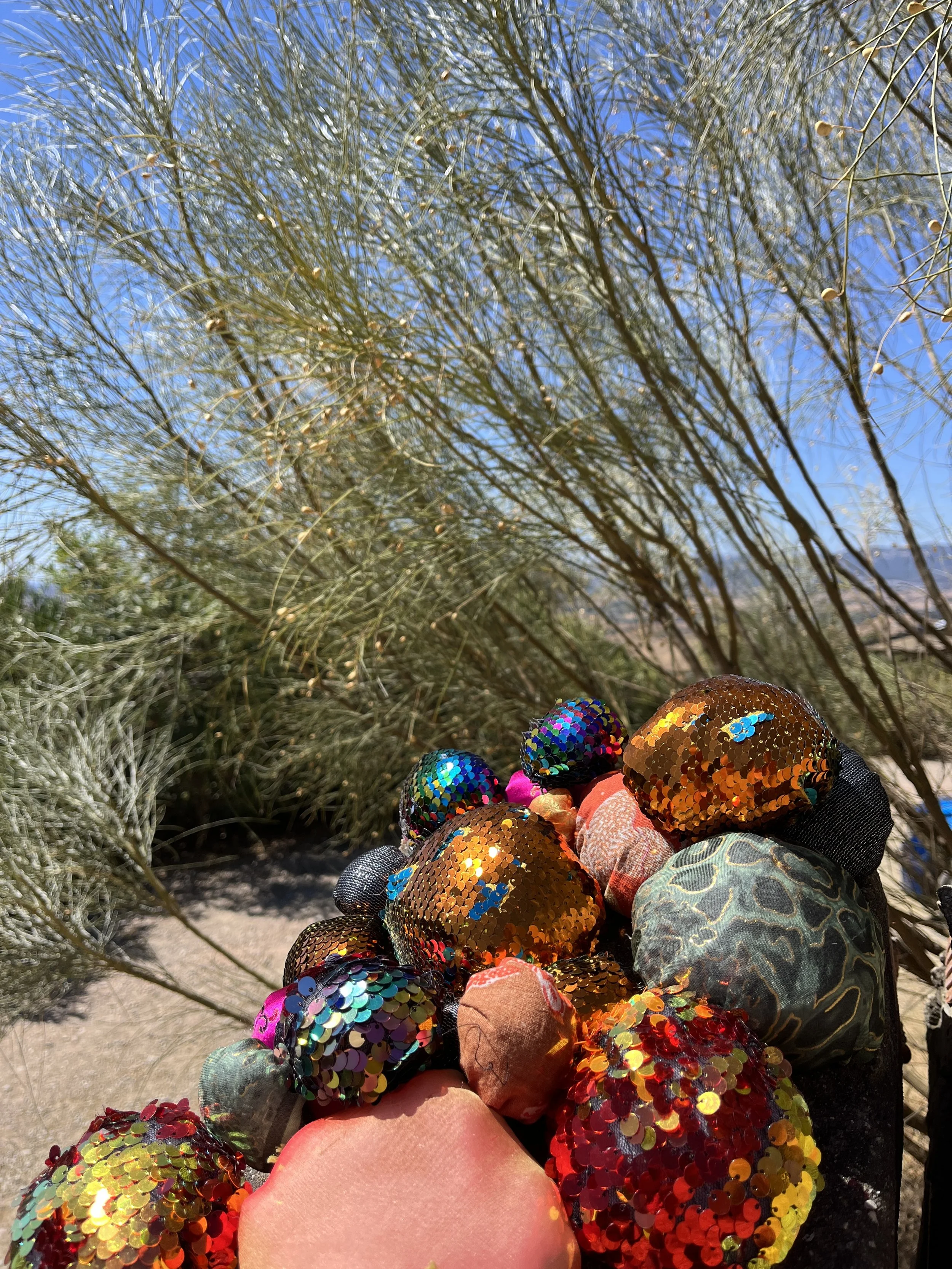 Kate McMahon-Parkes, Queen Eahlswith's (Not) Burnt Cakes