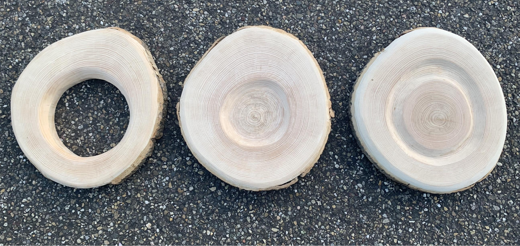 2026 FaB - Tree Rings Tryptich  by Florien Hazenberg - cut and sanded discs from the same tree - each 31x31cms - curated by Nina Harrison-Leins and Louise Rushford.png